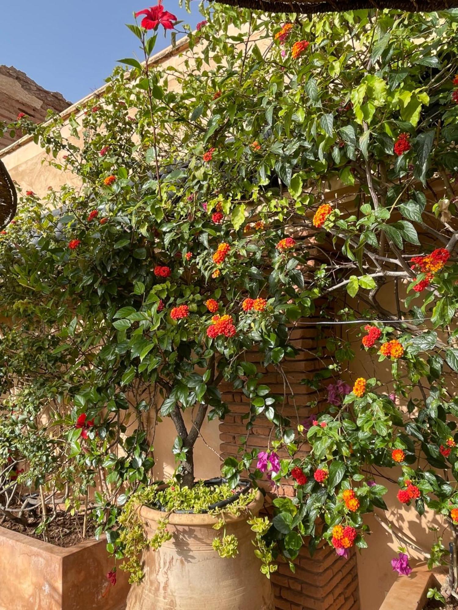 Riad Zouhour 마라케시 외부 사진